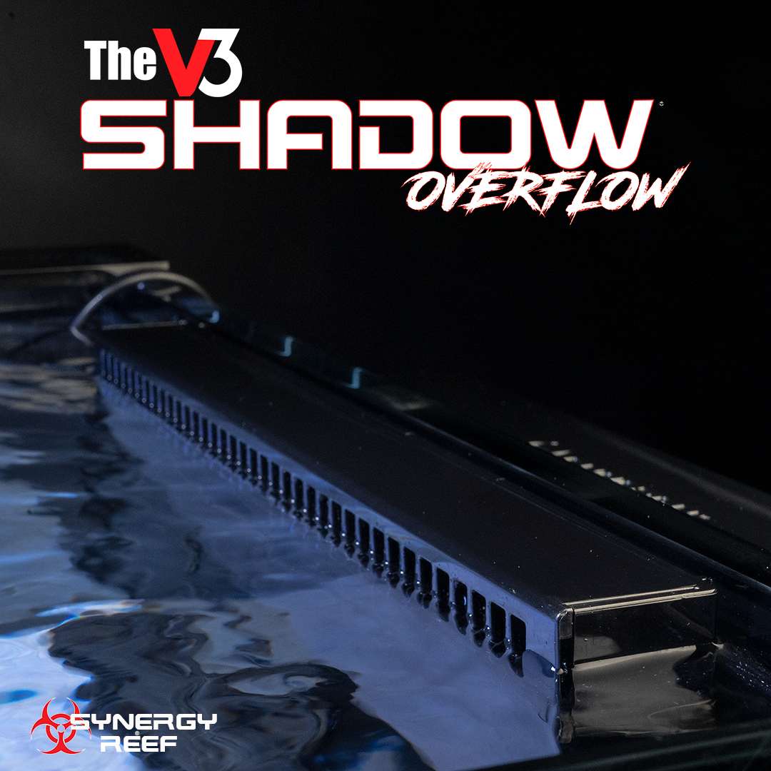 Shadow Overflow