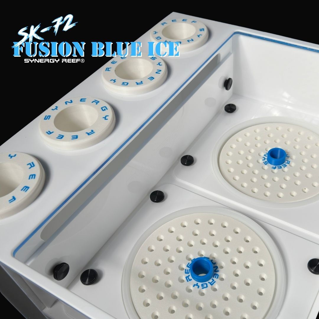 Synergy Reef® SK-72 Clarisea SK5000 & Filter Sock Sump