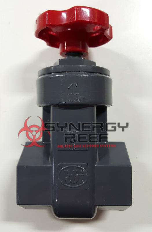 1" Grey - Red PVC Gate Valve Schedule 80